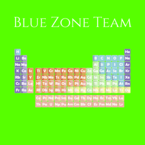 Formularz Glikemii wg dr Bernsteina